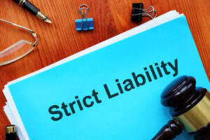 strict liability written on a blue folder 